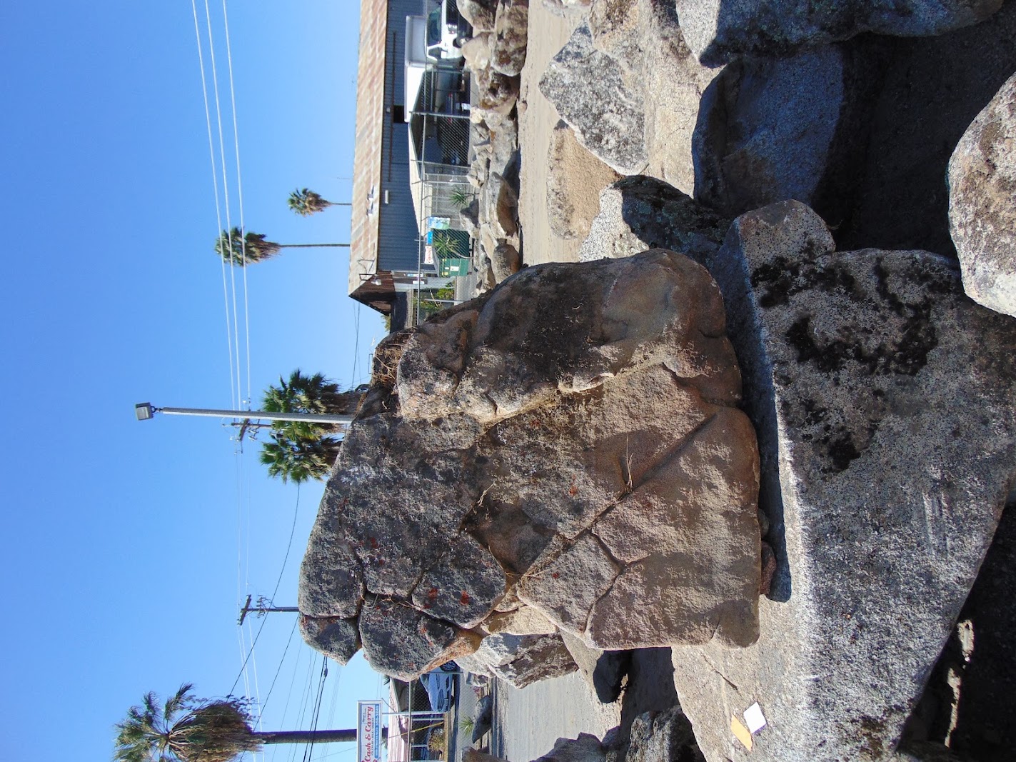 Sierra Foothill moss rock from a recent purchase by We Buy Moss Rock