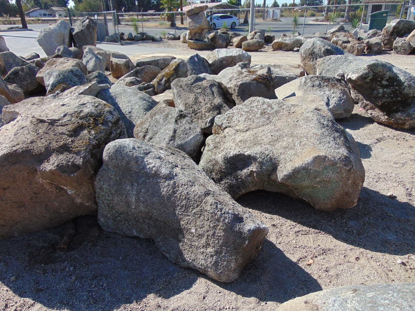 Sierra Foothill moss rock from a recent purchase by We Buy Moss Rock