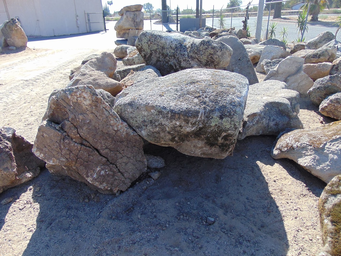 Sierra Foothill moss rock from a recent purchase by We Buy Moss Rock