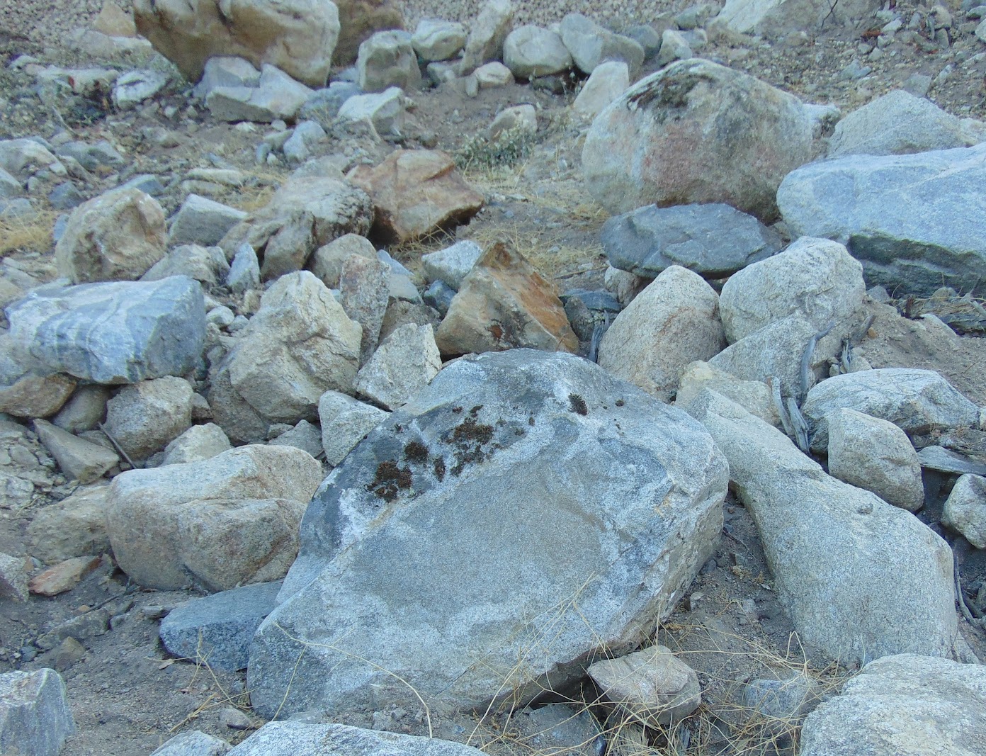 Coastal Granite moss rock from a recent purchase by We Buy Moss Rock