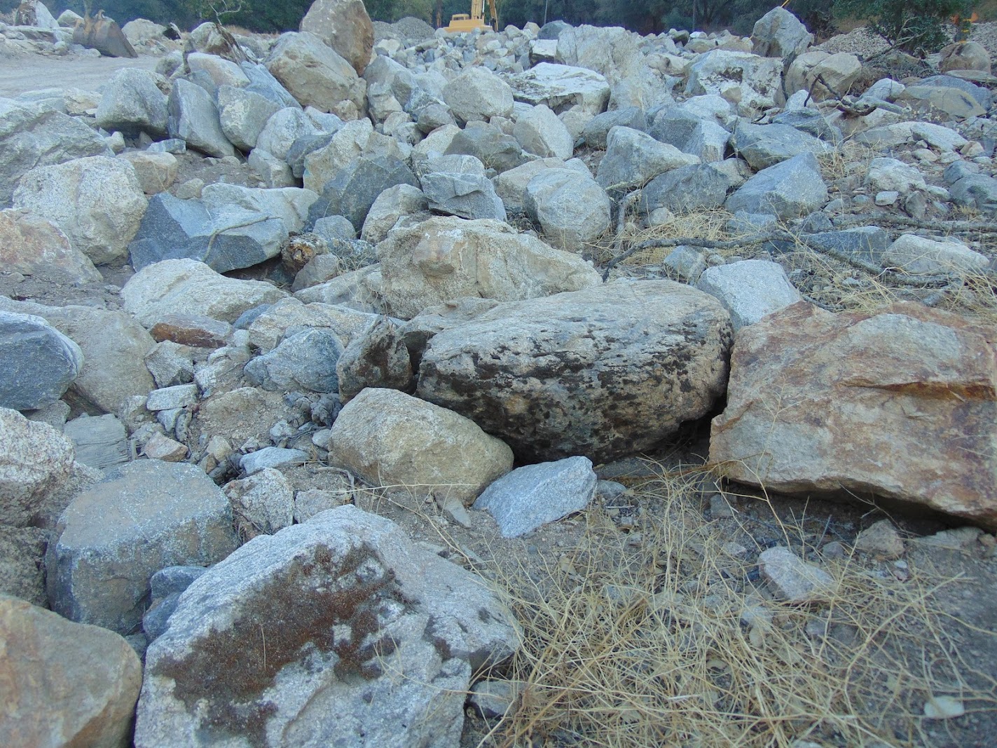Coastal Granite moss rock from a recent purchase by We Buy Moss Rock
