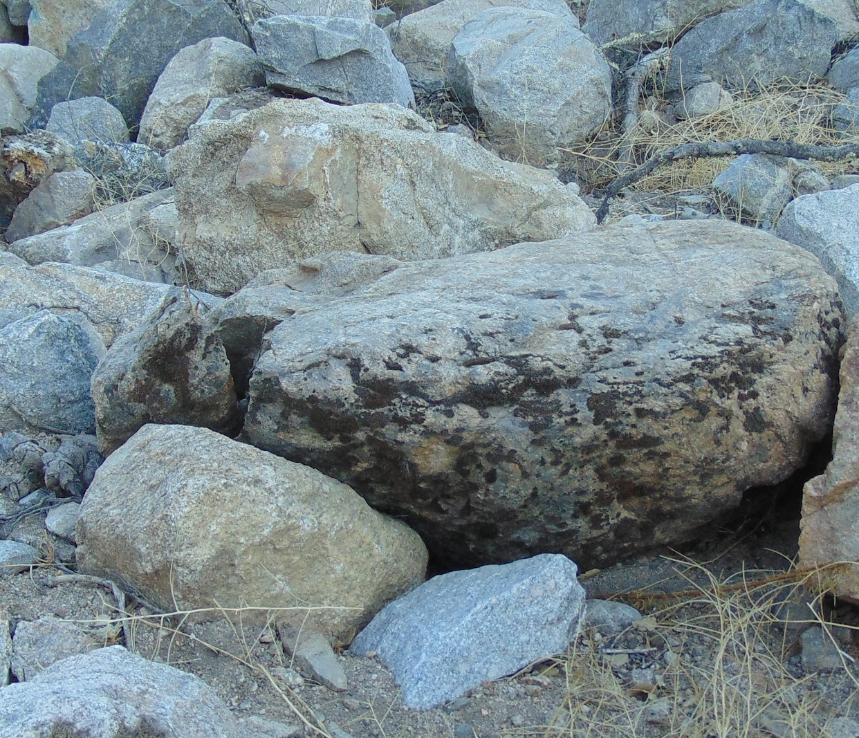 Coastal Granite moss rock from a recent purchase by We Buy Moss Rock