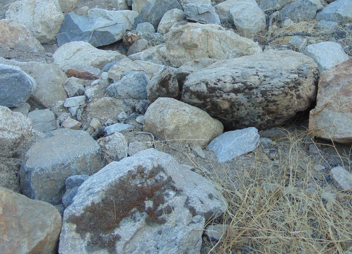 Coastal Granite moss rock from a recent purchase by We Buy Moss Rock