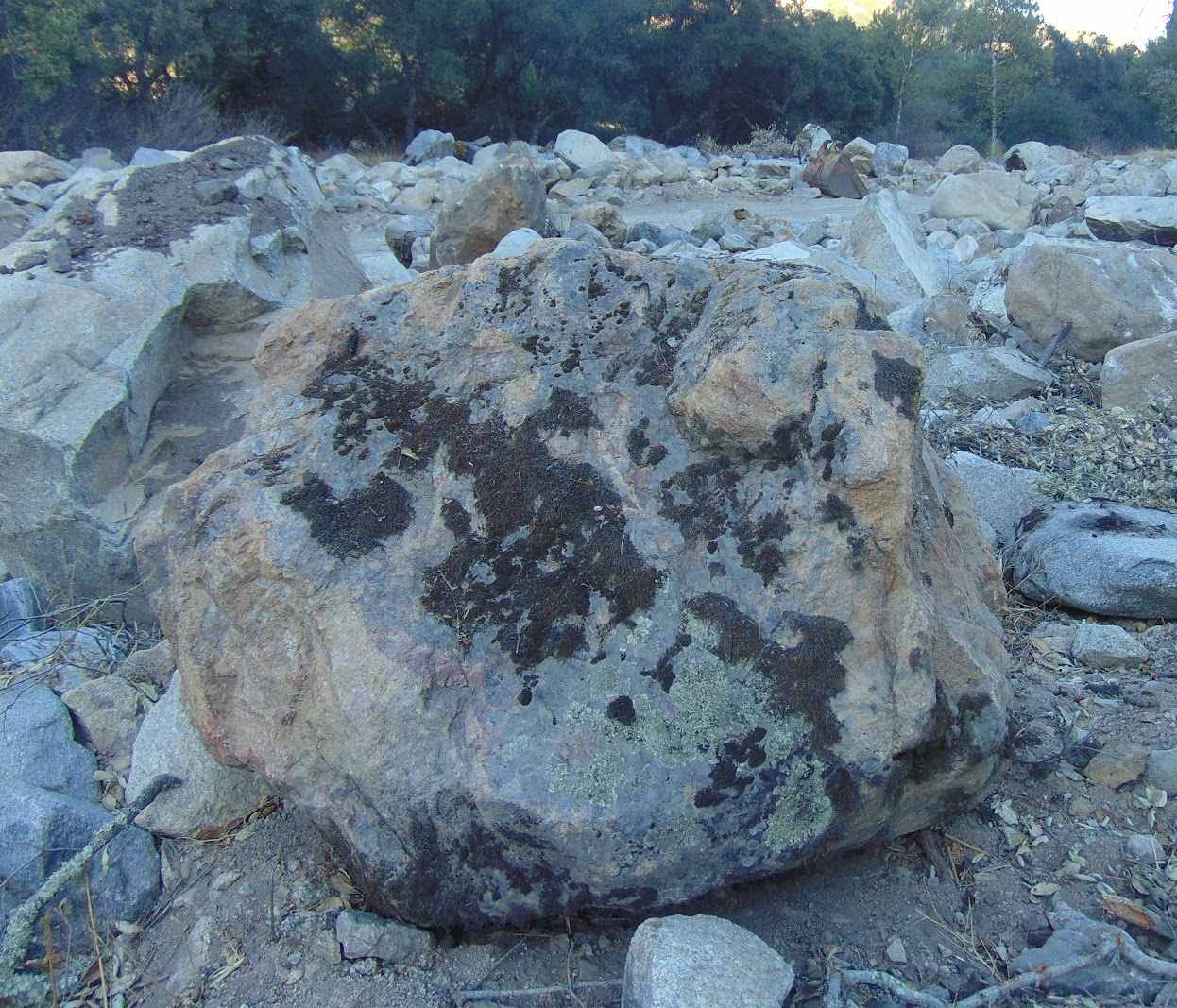 Coastal Granite moss rock from a recent purchase by We Buy Moss Rock