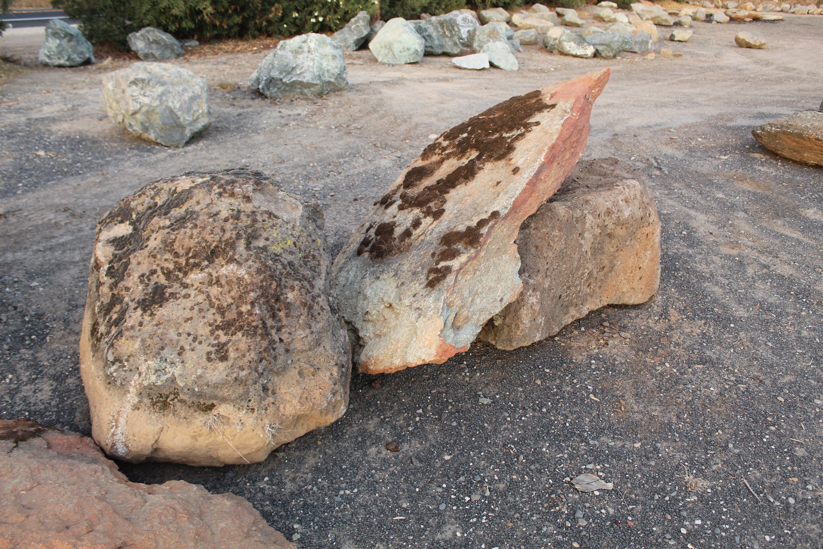Gold Country moss rock from a recent purchase by We Buy Moss Rock