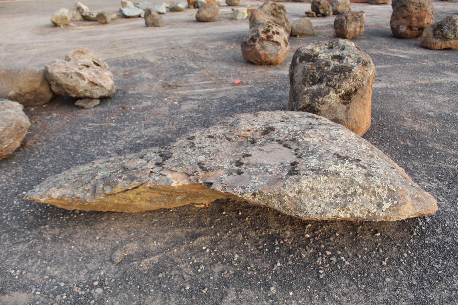 Gold Country moss rock from a recent purchase by We Buy Moss Rock