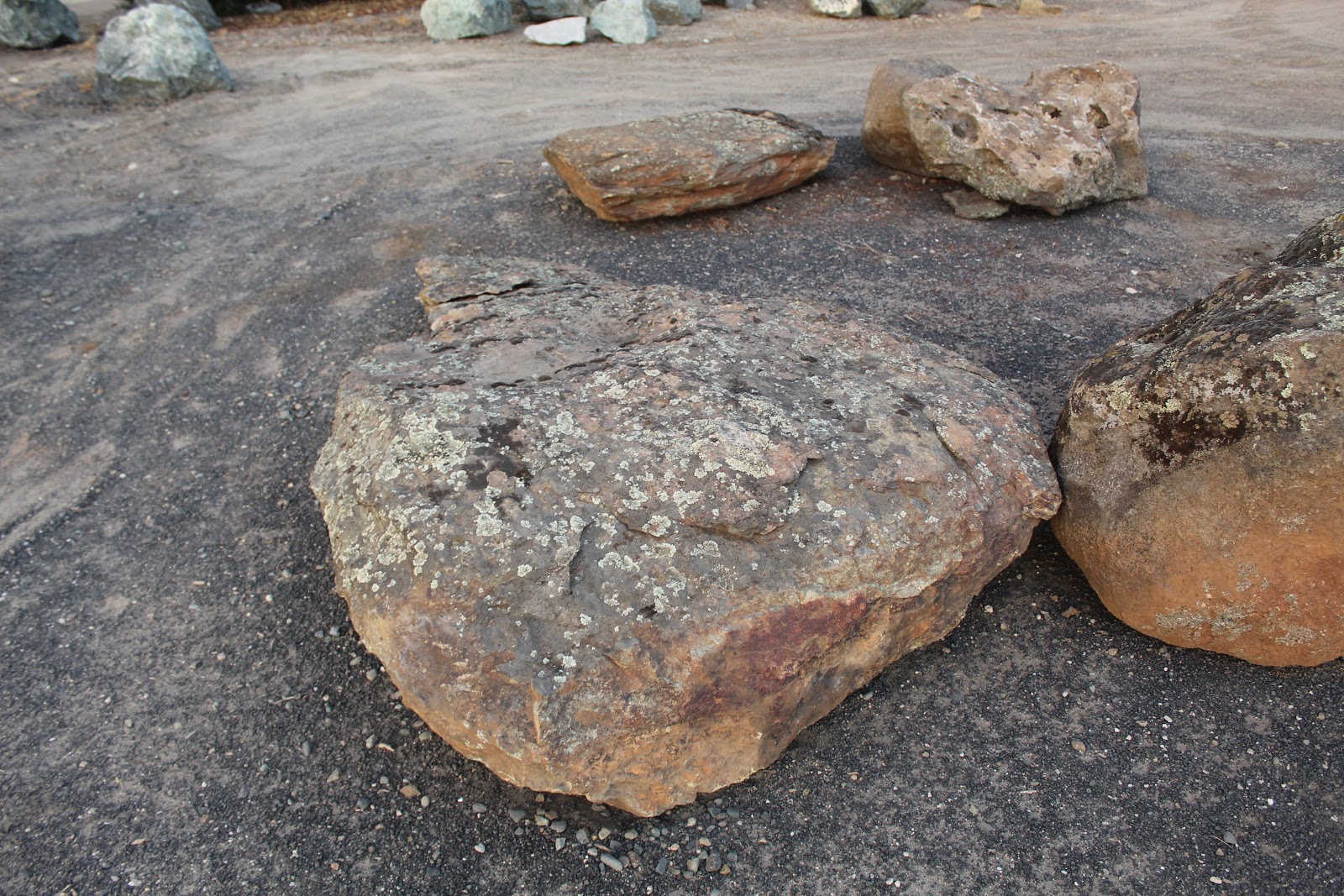 Gold Country moss rock from a recent purchase by We Buy Moss Rock