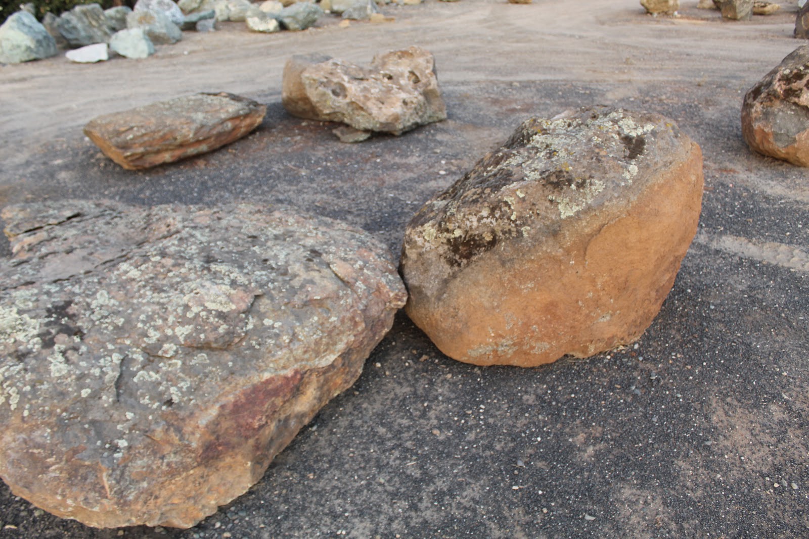 Gold Country moss rock from a recent purchase by We Buy Moss Rock