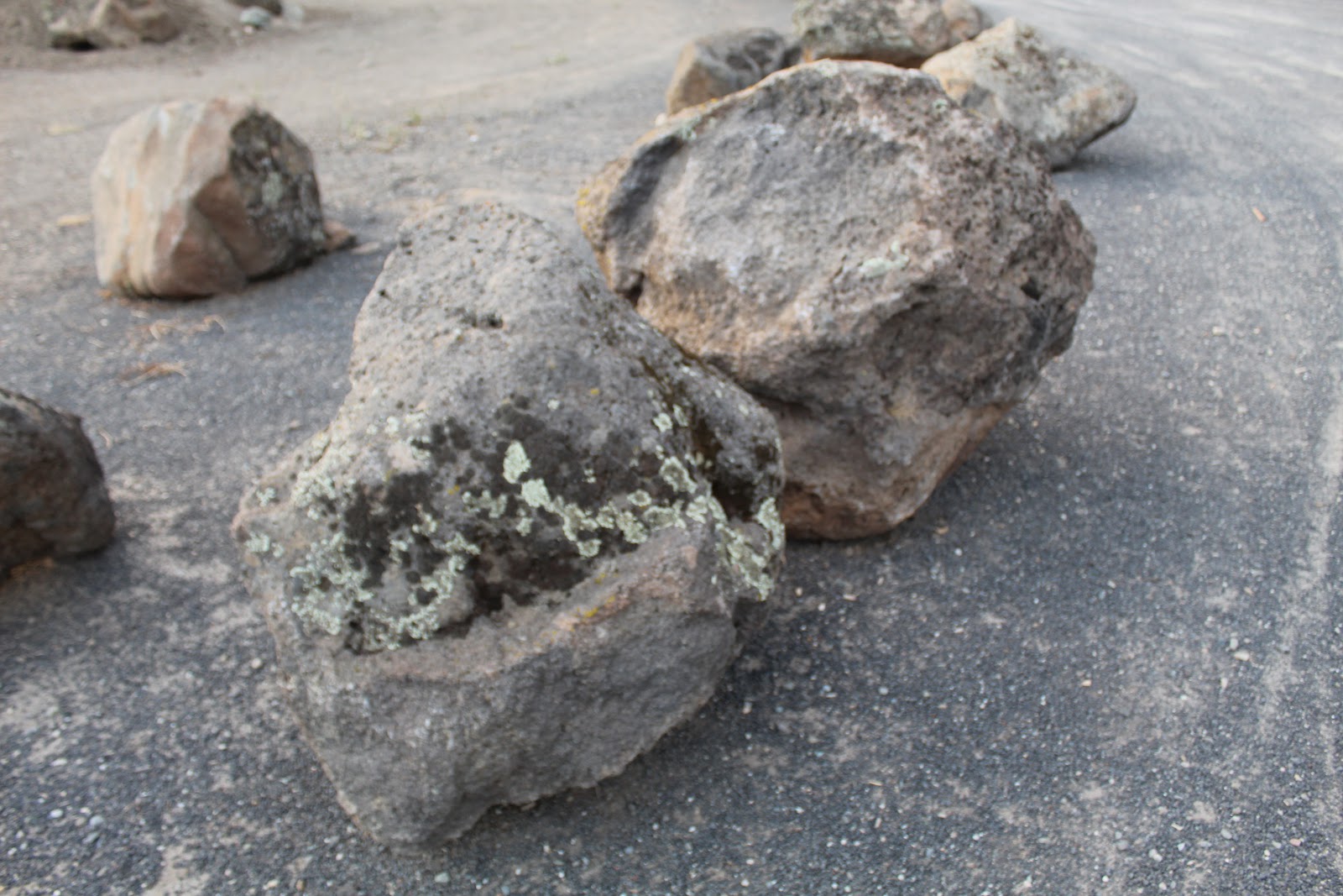 Gold Country moss rock from a recent purchase by We Buy Moss Rock