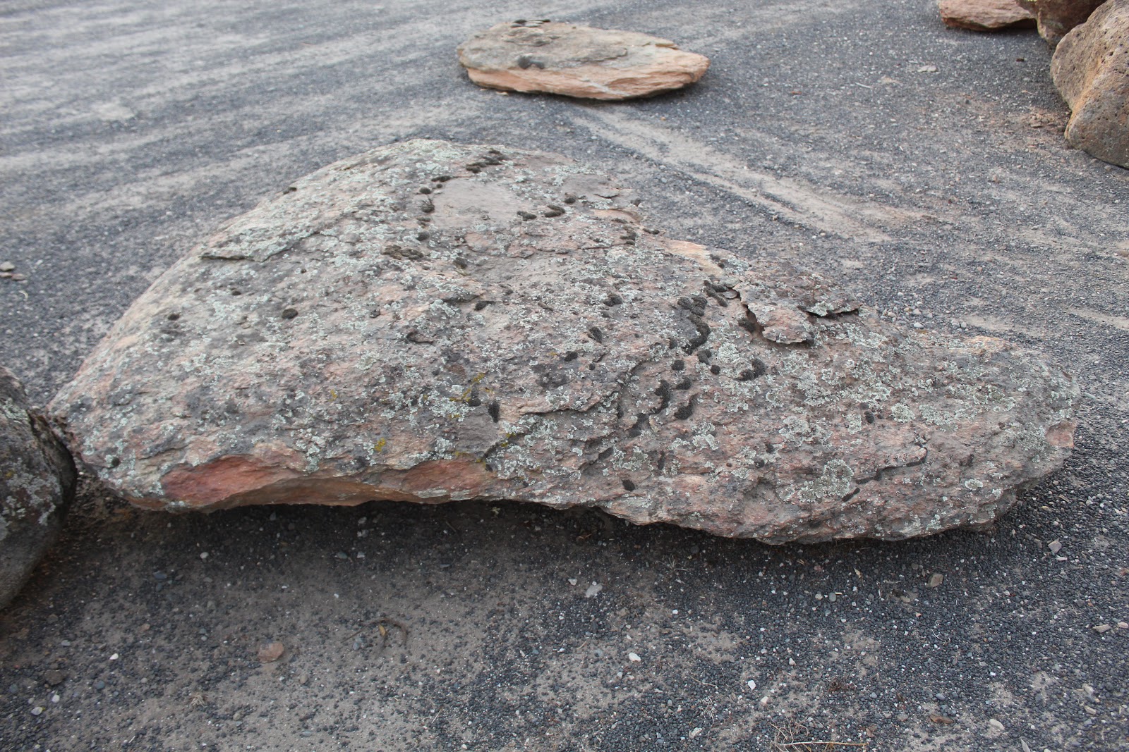Gold Country moss rock from a recent purchase by We Buy Moss Rock