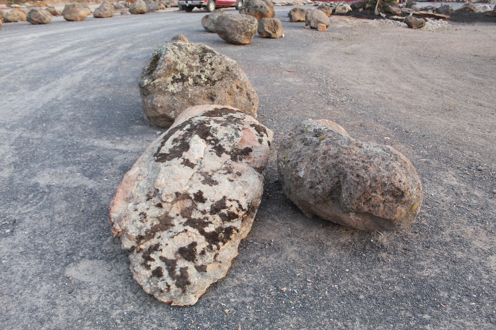 Gold Country moss rock from a recent purchase by We Buy Moss Rock