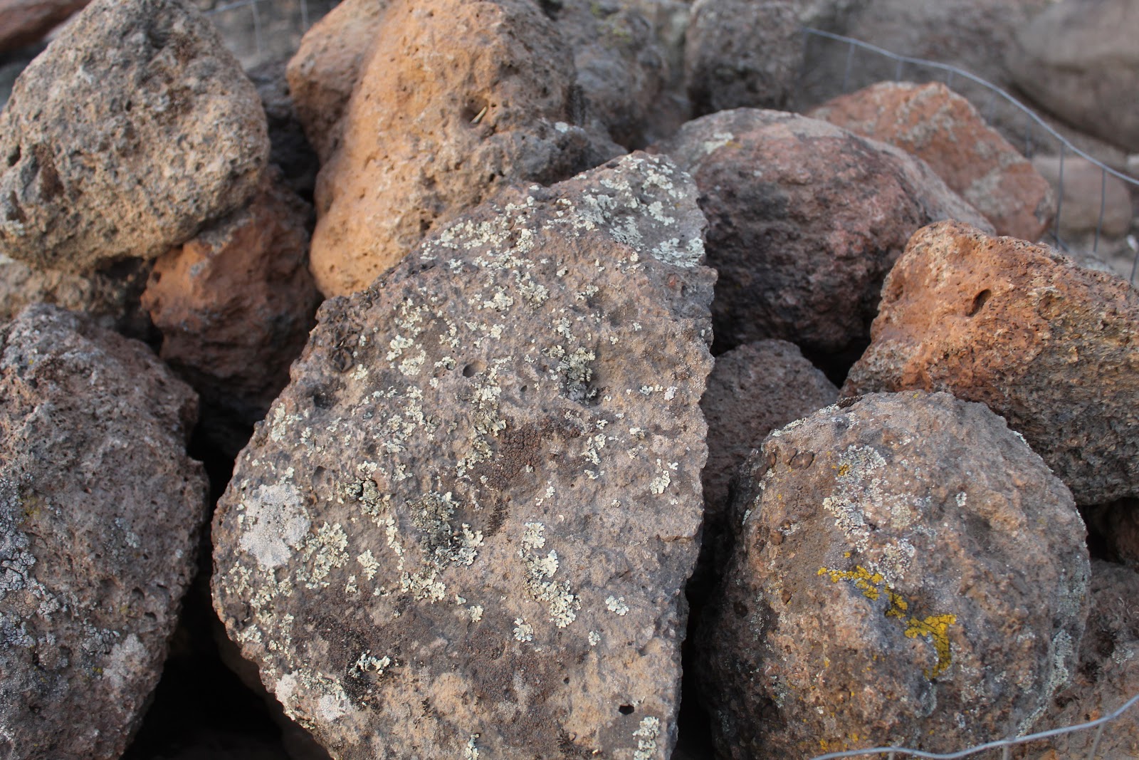 Gold Country moss rock from a recent purchase by We Buy Moss Rock