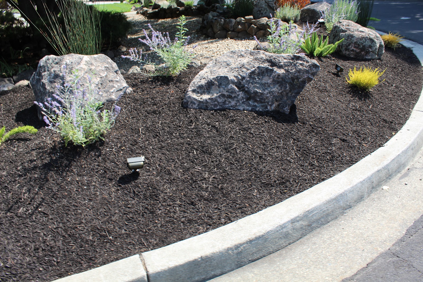 Boulders moss rock from a recent purchase by We Buy Moss Rock